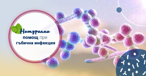 Кандидоза – храни в борба с гъбичната инфекция