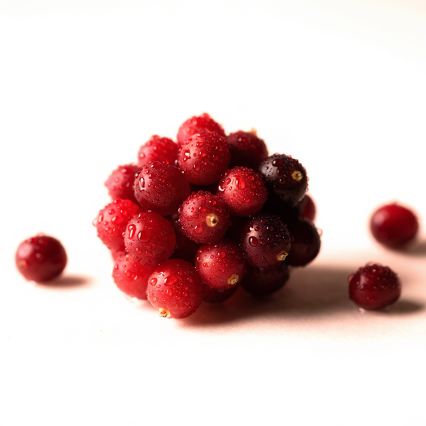 Екстракт от червена боровинка - EXOCYAN (40% PAC extr. Vaccinium macrocarpon)